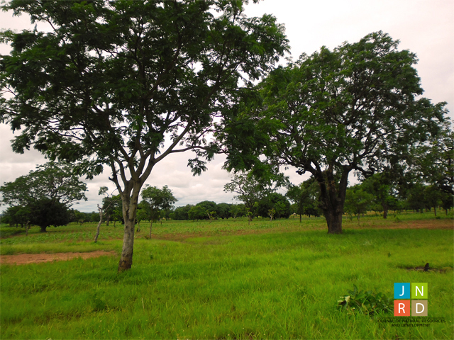 Parkia biglobosa in the Northern Region of Ghana