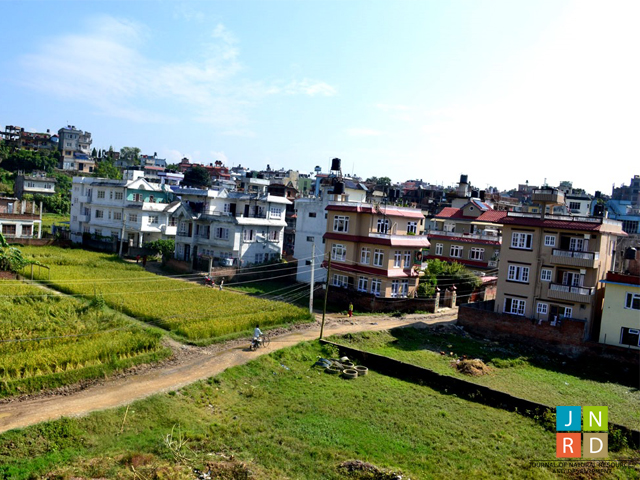 Urbanisation trends in developing countries