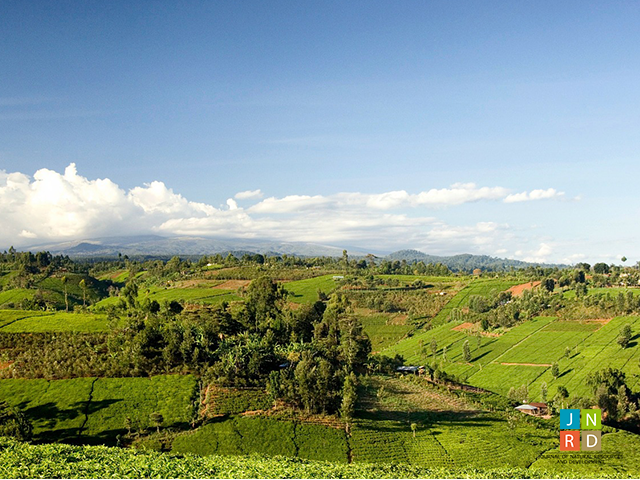Factors Influencing Farmer’s Choice of Crop Production Response Strategies to Climate Change and Variability in Narok East Sub-county, Kenya