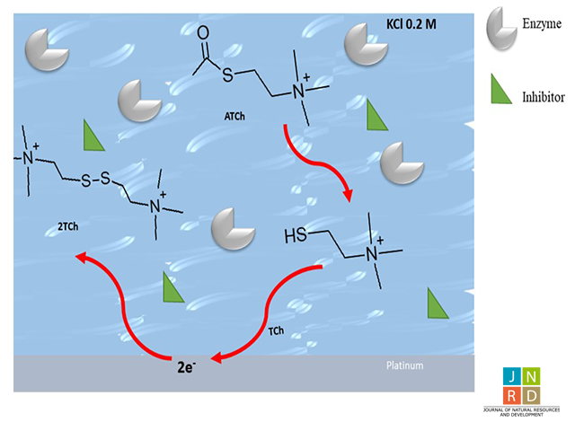 Enzymatic Inhibition Constant of Acetylcholinesterase for the Electrochemical Detection and Sensing of Chlorpyrifos